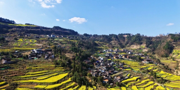 凯里万潮邀你赴一场花海与山野的约会！