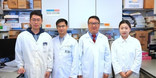 香港大学研究团队成功开发突破性癌症免疫新疗法